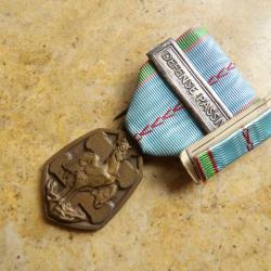 ordre m&eacute;daille la lib&eacute;ration rappel comm&eacute;morative barrette DEFENSE PASSIVE sans boite seconde guerre