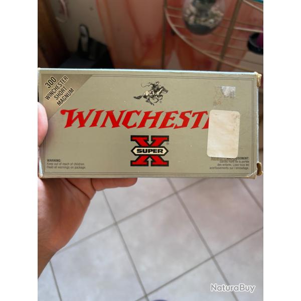 Winchester power point 300wsm