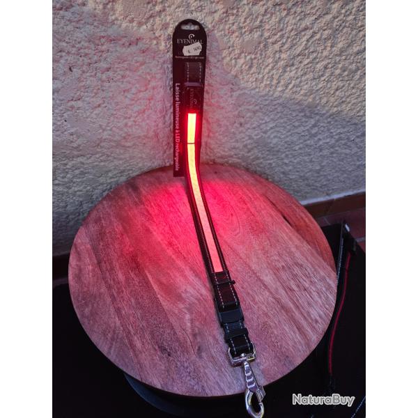Laisse lumineuse EYENIMAL Rechargeable rouge