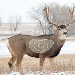 Blason 2D Ital Espanso Cerf