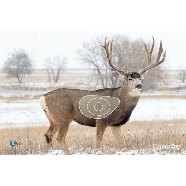 Blason 2D Ital Espanso Cerf