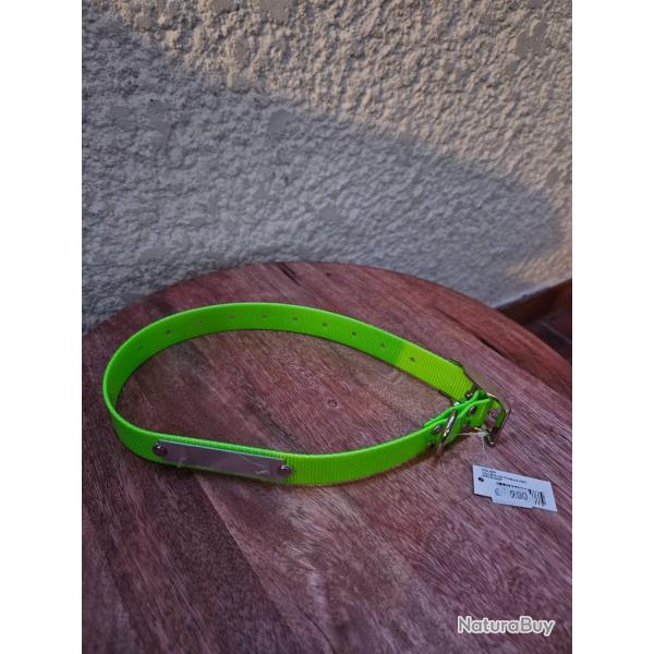 Collier pour chien fluo vert avec plaque