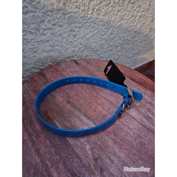 Collier pour chien fluo bleu