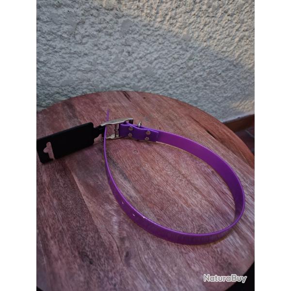 Collier pour chien fluo violet
