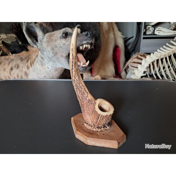 Porte-crayon en bois de cerf