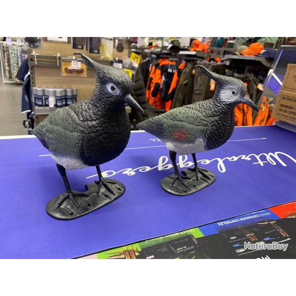 Forme Vanneau hupp x11