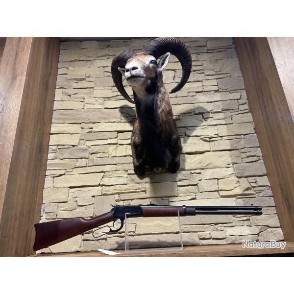 Carabine Rossi Levier sous garde Calibre 44 MAG