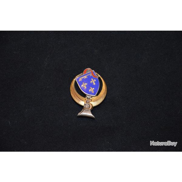 INSIGNE 5 REGIMENT DE SPAHIS ALGERIENS-5 RSA-ALGERIE-ARTHUS BERTRAND 1264