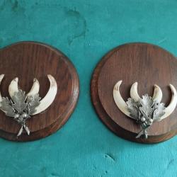 SUR ECUSSONS BOIS 17CM 2 TROPHEES DEFENSES GRES DE SANGLIER