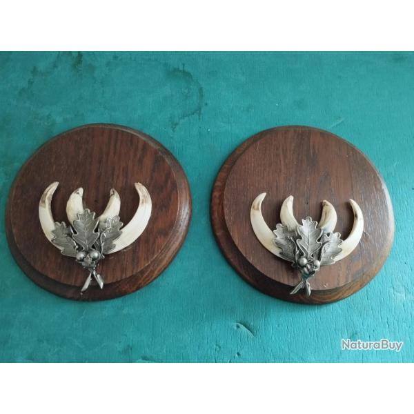 SUR ECUSSONS BOIS 17CM 2 TROPHEES DEFENSES GRES DE SANGLIER