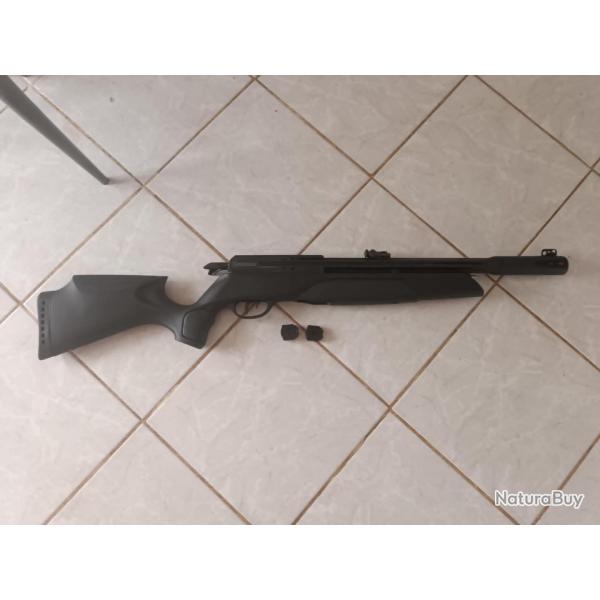 carabine  plombs gamo arrow PCP 4,5