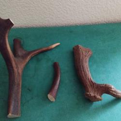 BOIS MUES CERF TEINTS 15/32/22CM COUTELLERIE USAGE DIVERS