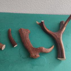 BOIS MUES CERF TEINTS 15/19/32/22CM COUTELLERIE USAGE DIVERS