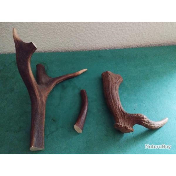 BOIS MUES CERF TEINTS 15/32/22CM COUTELLERIE USAGE DIVERS