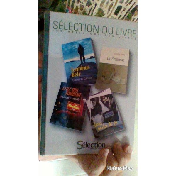 Terminus Belz - La promesse - Ceux qui tombent - Vous parlez de ca - Selection du livre -