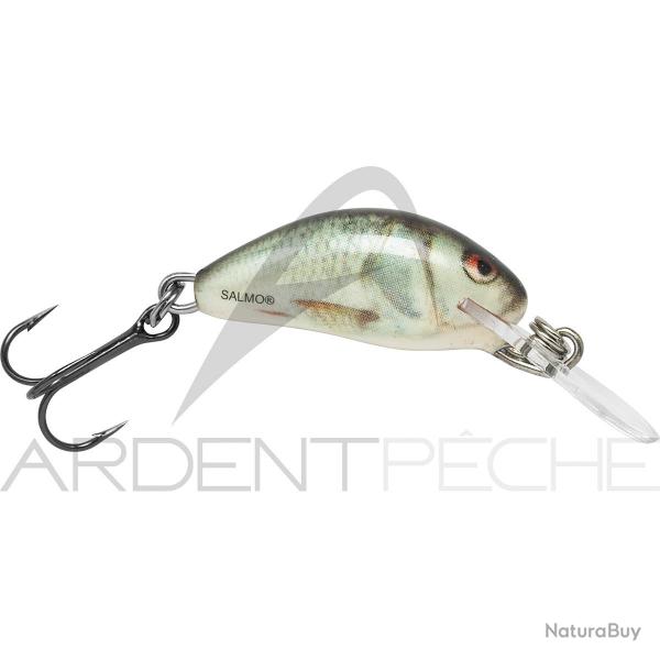 Poisson nageur SALMO Hornet 2 S Trout