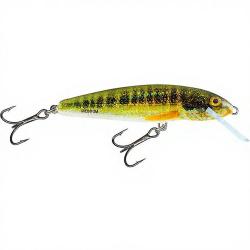 Poisson nageur SALMO Minnow 5 F Holo real minnow