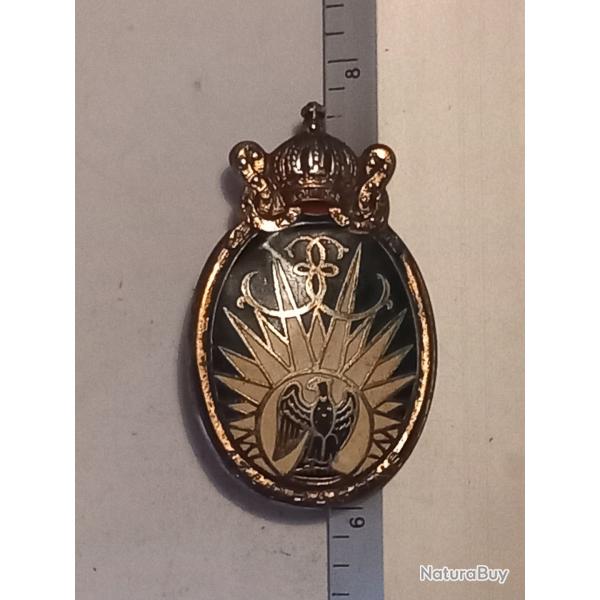 Insigne du 13me rgiment de dragons parachutistes (13me RDP) - Drago