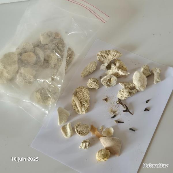 des coquillages de notre plan�te, du corail, des dents de requin, des fossiles