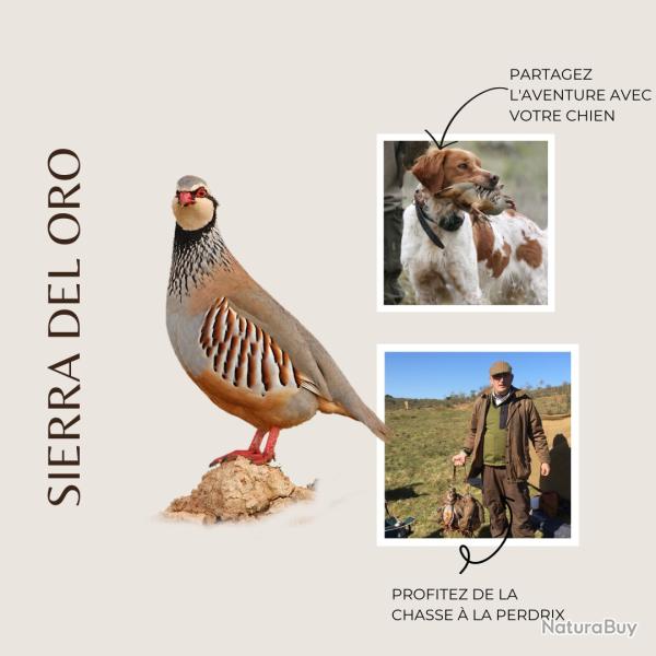 Chasse aux perdrix sauvages 2025- 26