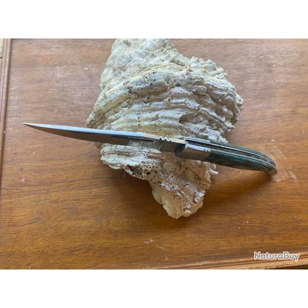 COUTEAU PRADEL EVOLUTION    1  2025  n