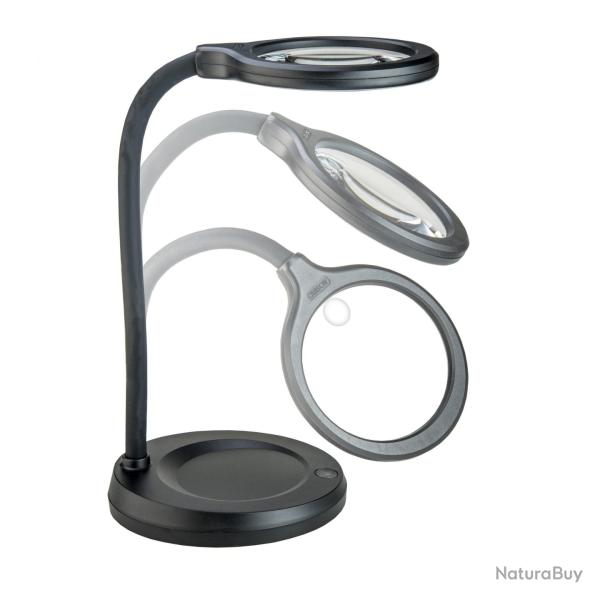 CARSON DeskBrite 300