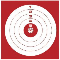 PAQUET DE 100 CIBLES COURT C10 EN CARTON 10 X 10 CM