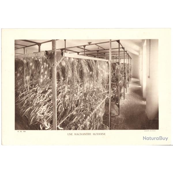 TIRAGE DE CLICH TYPE GRAVURE - COMPAGNIE ARIENNE FRANAISE - UNE MAGNANERIE MODERNE