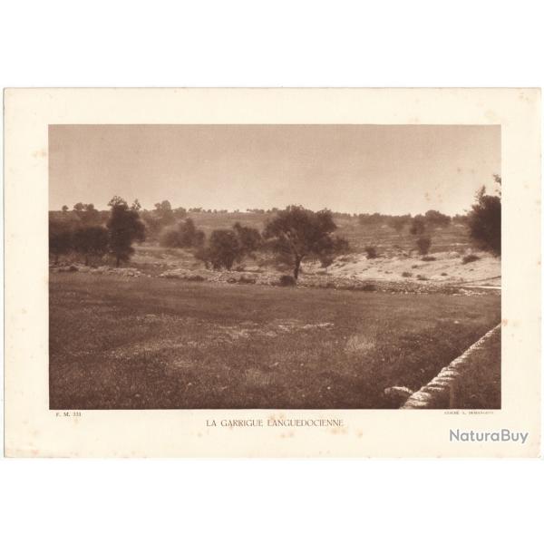 TIRAGE DE CLICH TYPE GRAVURE - COMPAGNIE ARIENNE FRANAISE - LA GARRIGUE LANGUEDOCIENNE