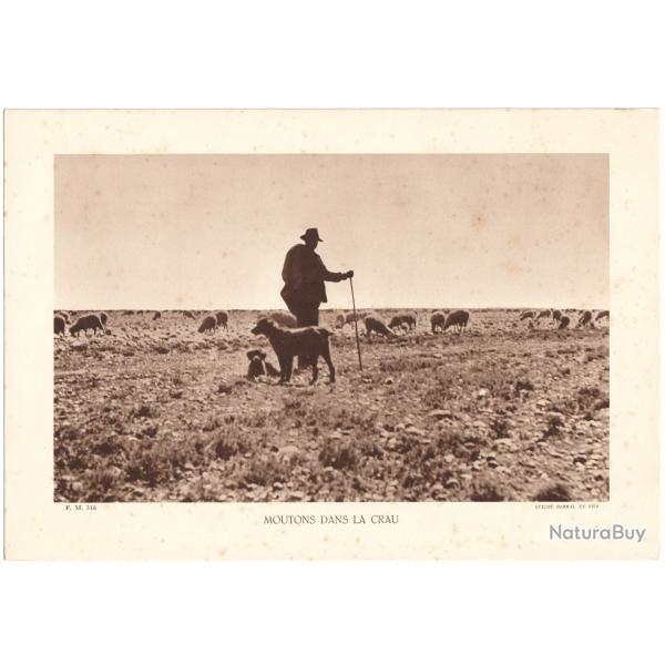 TIRAGE DE CLICH TYPE GRAVURE - COMPAGNIE ARIENNE FRANAISE - MOUTONS DANS LA CRAU