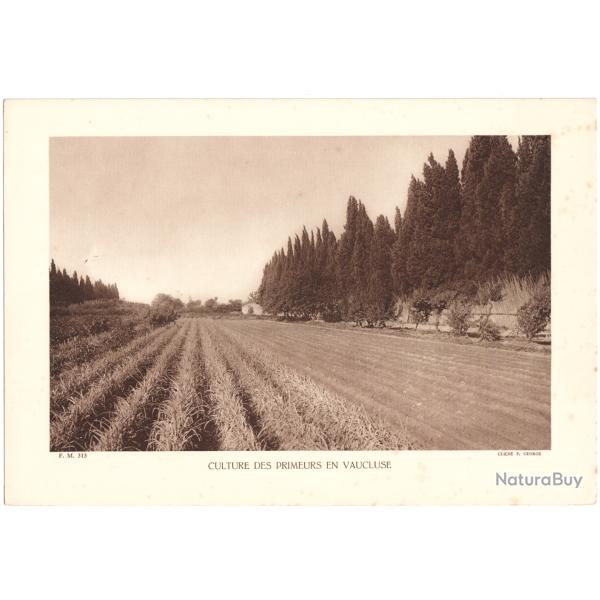 TIRAGE DE CLICH TYPE GRAVURE - COMPAGNIE ARIENNE FRANAISE - CULTURE DES PRIMEURS EN VAUCLUSE