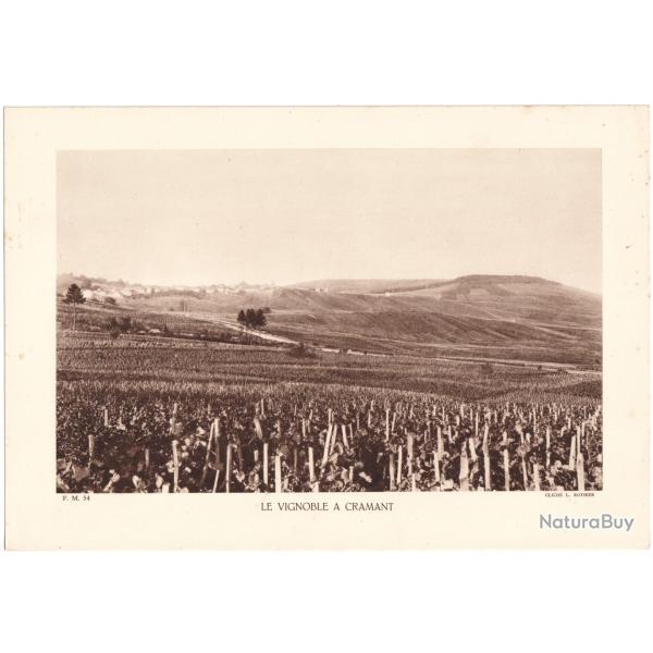 TIRAGE DE CLICH TYPE GRAVURE - COMPAGNIE ARIENNE FRANAISE - LE VIGNOBLE  CRAMANT