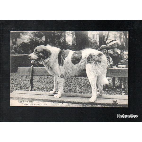 les pyr�n�es chien de garde