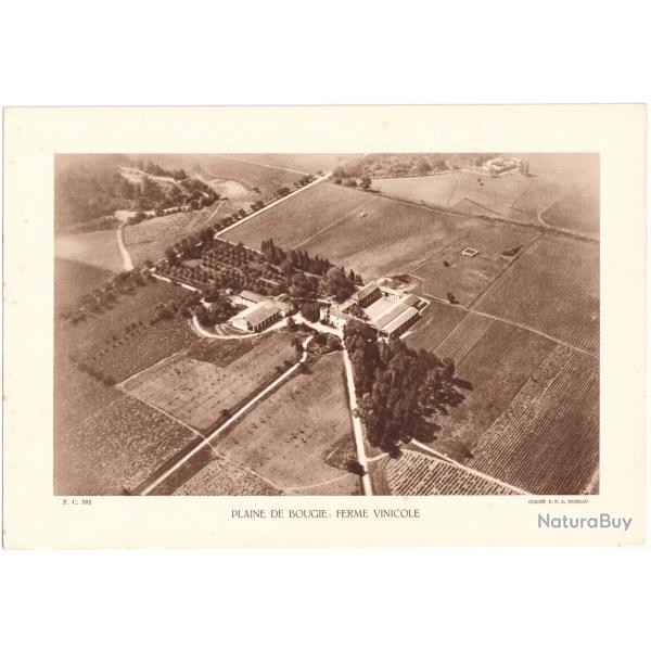 TIRAGE DE CLICH� TYPE GRAVURE - COMPAGNIE A�RIENNE FRAN�AISE - PLAINE DE BOUGIE : FERME VITICOLE
