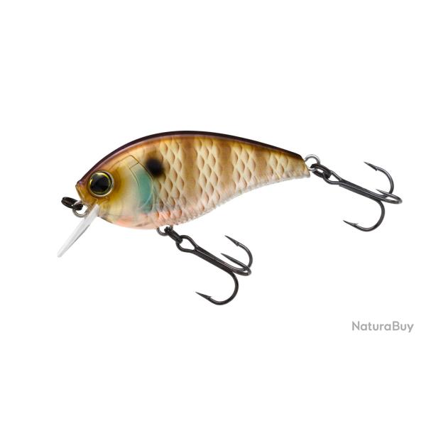 Poisson Nageur Yo-Zuri 3DB 1.5 Square Bill 6cm 14g 6cm NBG