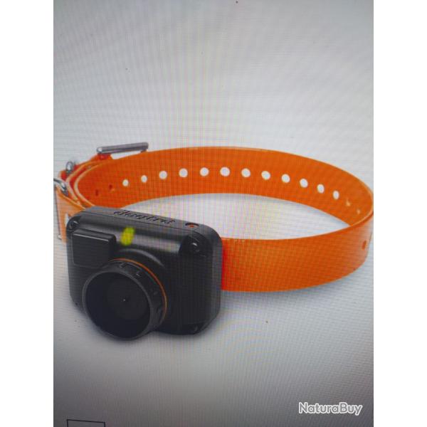 Collier suppl�mentaire dogtra 2600 t&b/2500 t&b/2502 t&b/ orange