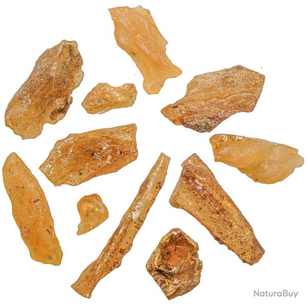 Pierres brutes ambre de Madagascar - 2 � 6 cm - 25 grammes
