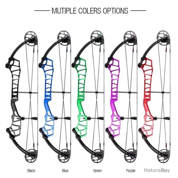 TOPOINT - Arc  Poulies BRETH 36 SD DROITIER (RH) 40-50 # BLACK