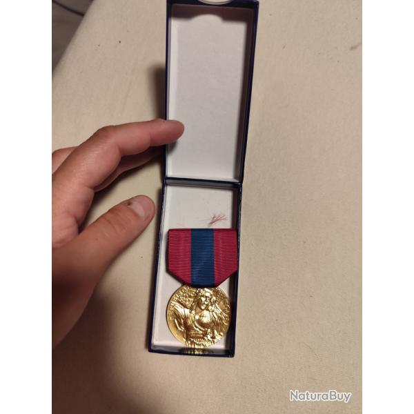 M�daille de la d�fense de la Nation en bronze