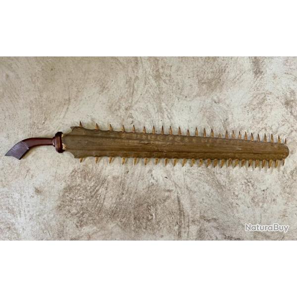 Grand rostre de requin-scie mont en pe dcorative + CITES