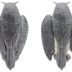 Appelant Grand Duc ailes battantes