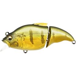 VIBRATION X VATALION SS - GG PERCH