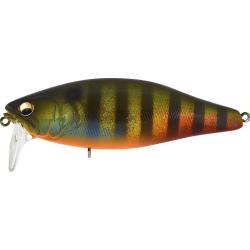 I JACK - GLX ITO GILL (SP-C)
