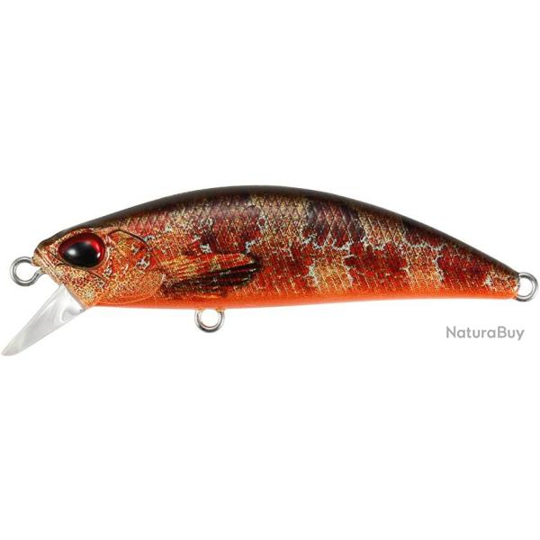 RYUKI 50 SK SPEARHEAD - ACCZ242 BLENNIE OB