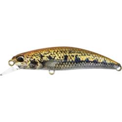 SPEARHEAD RYUKI 60 S - ACCZ114 GOUJON