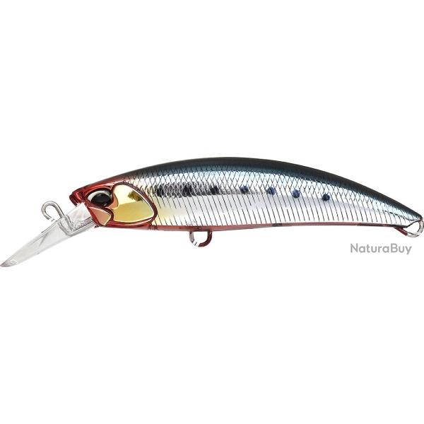 ROUGH TRAIL BLAZIN 85 S - CSB0054 GENKAI SARDINE