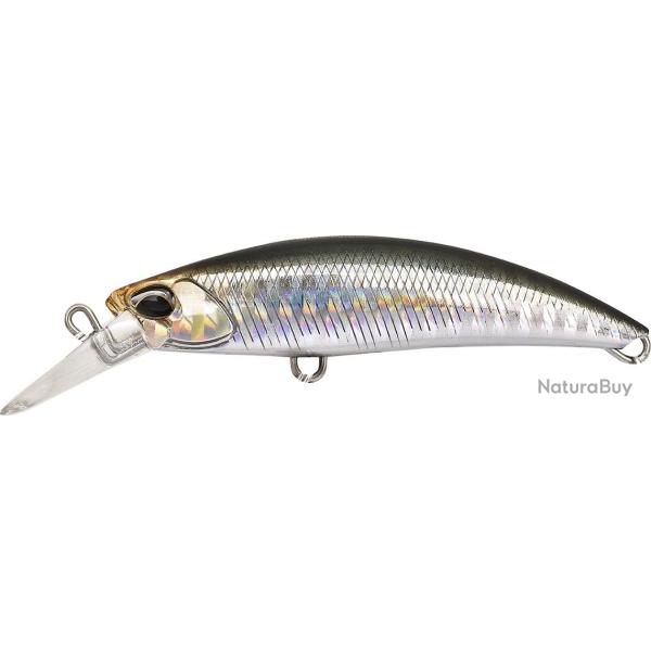 ROUGH TRAIL BLAZIN 85 S - GHA0114 CLEAR ANCHOVY