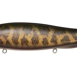 MEGADOG-X - FA SNAKE HEAD