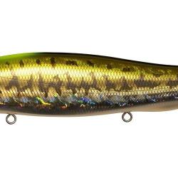 MEGADOG-X - GG INDICATOR BASS