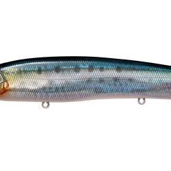 KANATA +1 SW - FA IWASHI